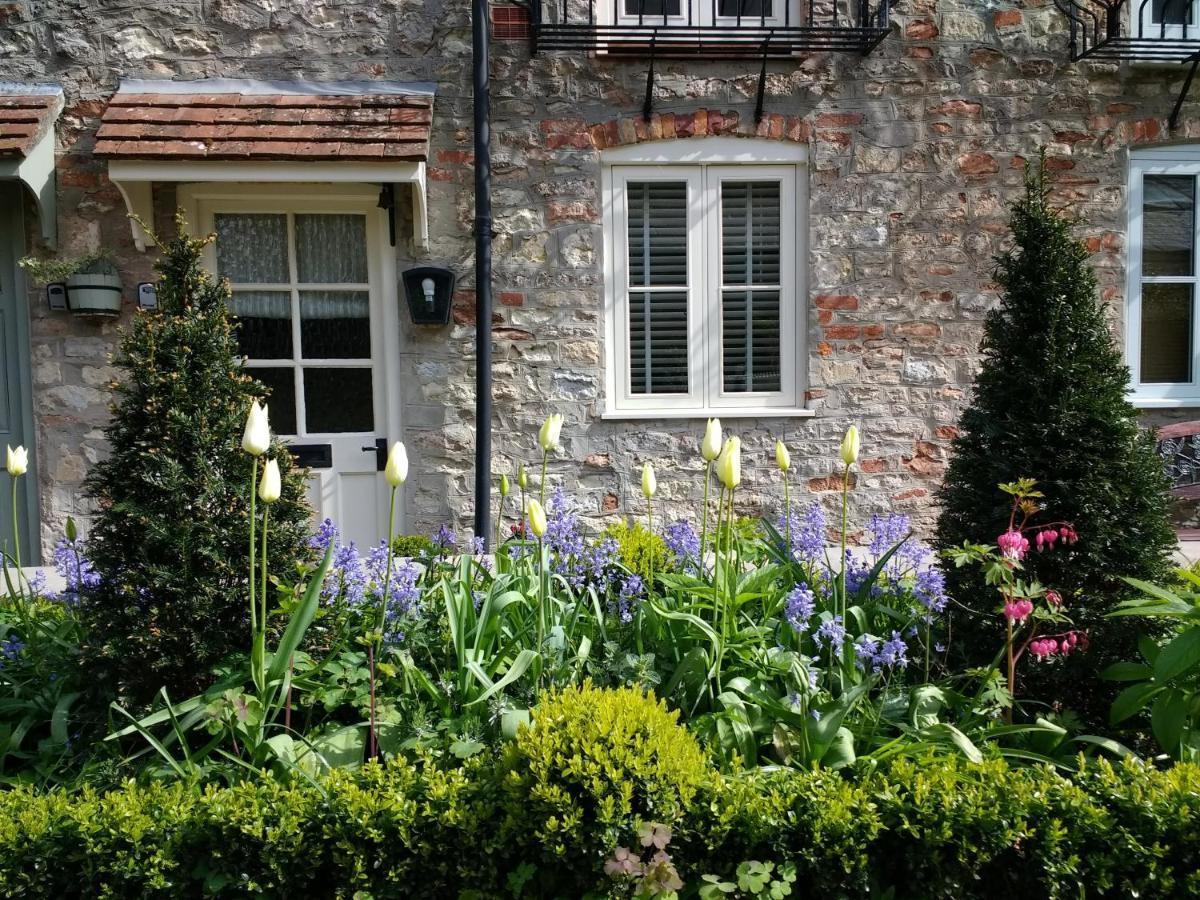 St Etheldreda'S Cottage, Wells, Somerset المظهر الخارجي الصورة